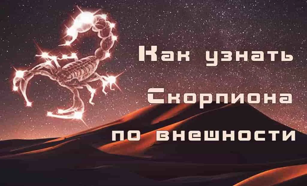 Как узнать Скорпиона по внешности