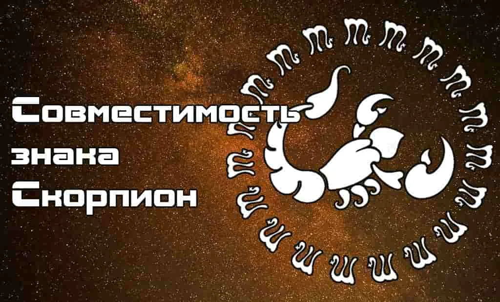 Совместимость знака Скорпион с другими знаками Зодиака