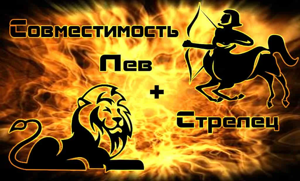 Стрелец и Лев: совместимость в любви и сексе