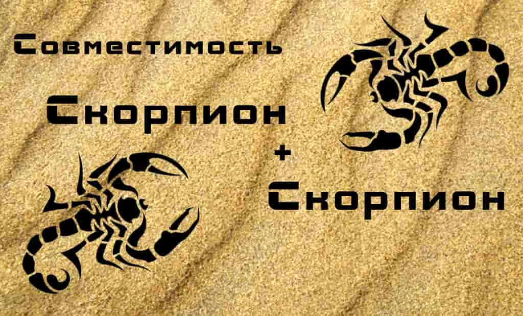 Скорпион и Скорпион: совместимость в любви и сексе