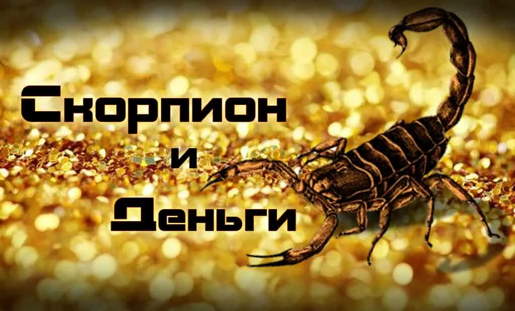 Скорпион и деньги