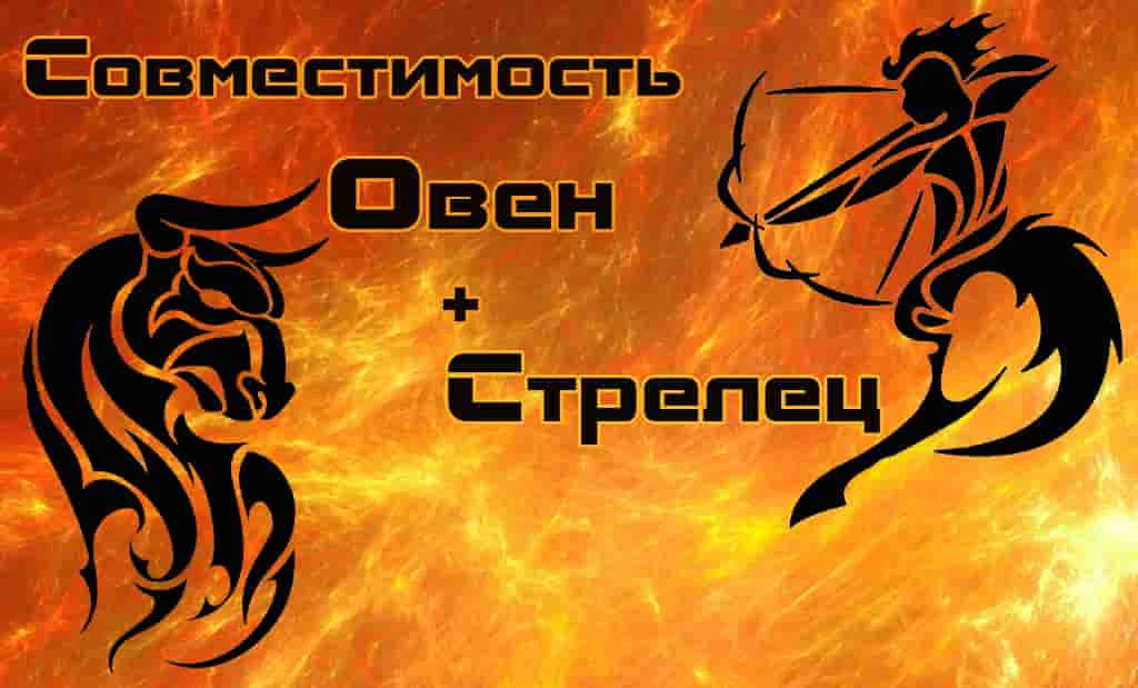 Овен и Стрелец: совместимость в любви и сексе