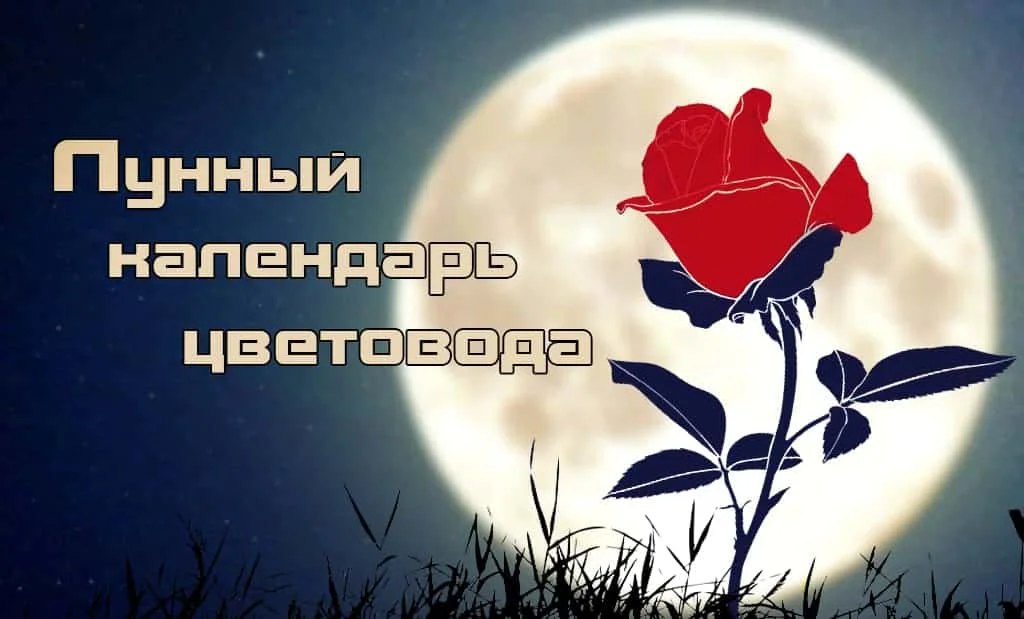 Лунный календарь Цветовода