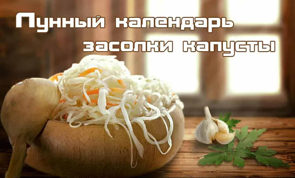 Главная 54 Лунный календарь засолки капусты