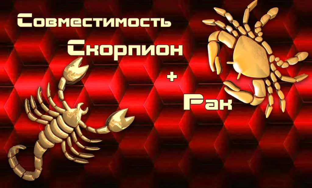 Совместимость Рака и Скорпиона