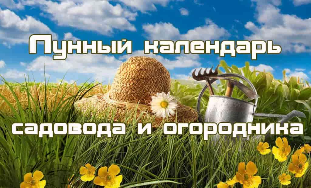 Главная 60 Лунный календарь садовода и огородника
