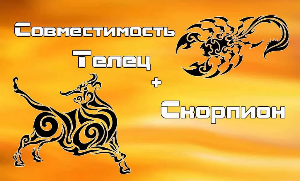 Совместимость Скорпиона и Тельца