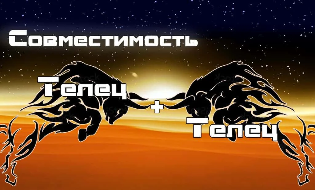 Совместимость Телец+Телец