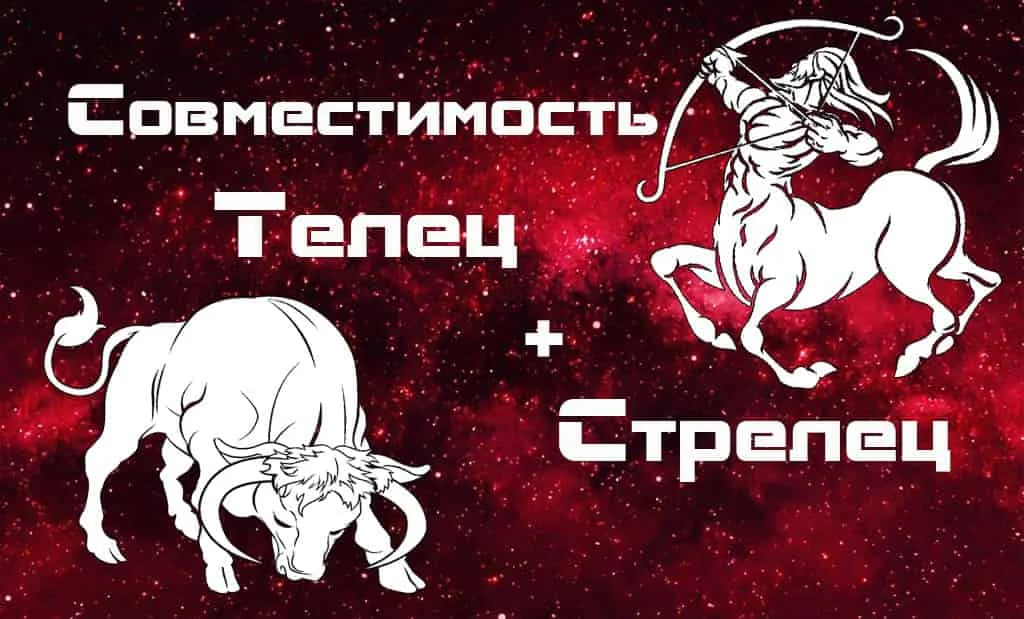 Совместимость Телец и Стрелец