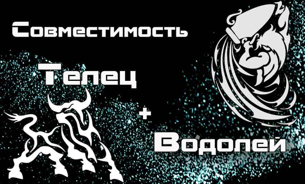 Совместимость Телец и Водолей