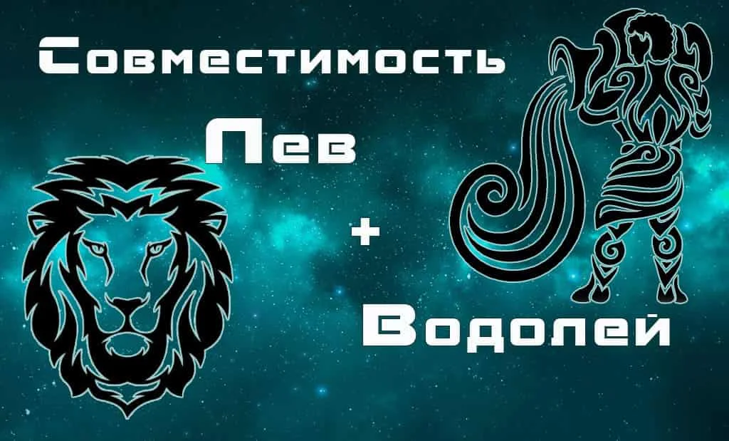 Совместимость Лев и Водолей