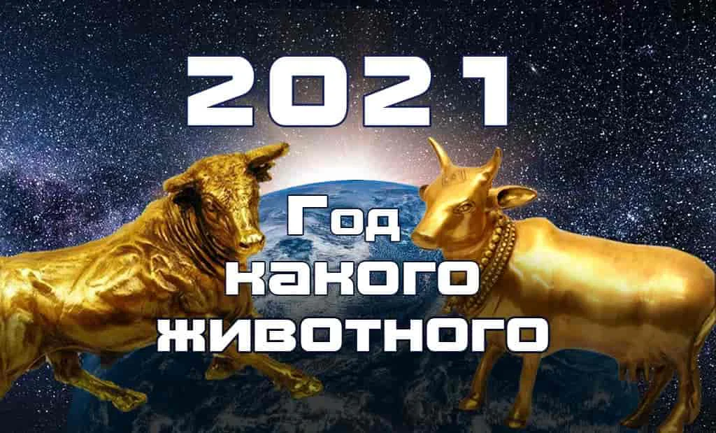 Символ 2021 года Бык